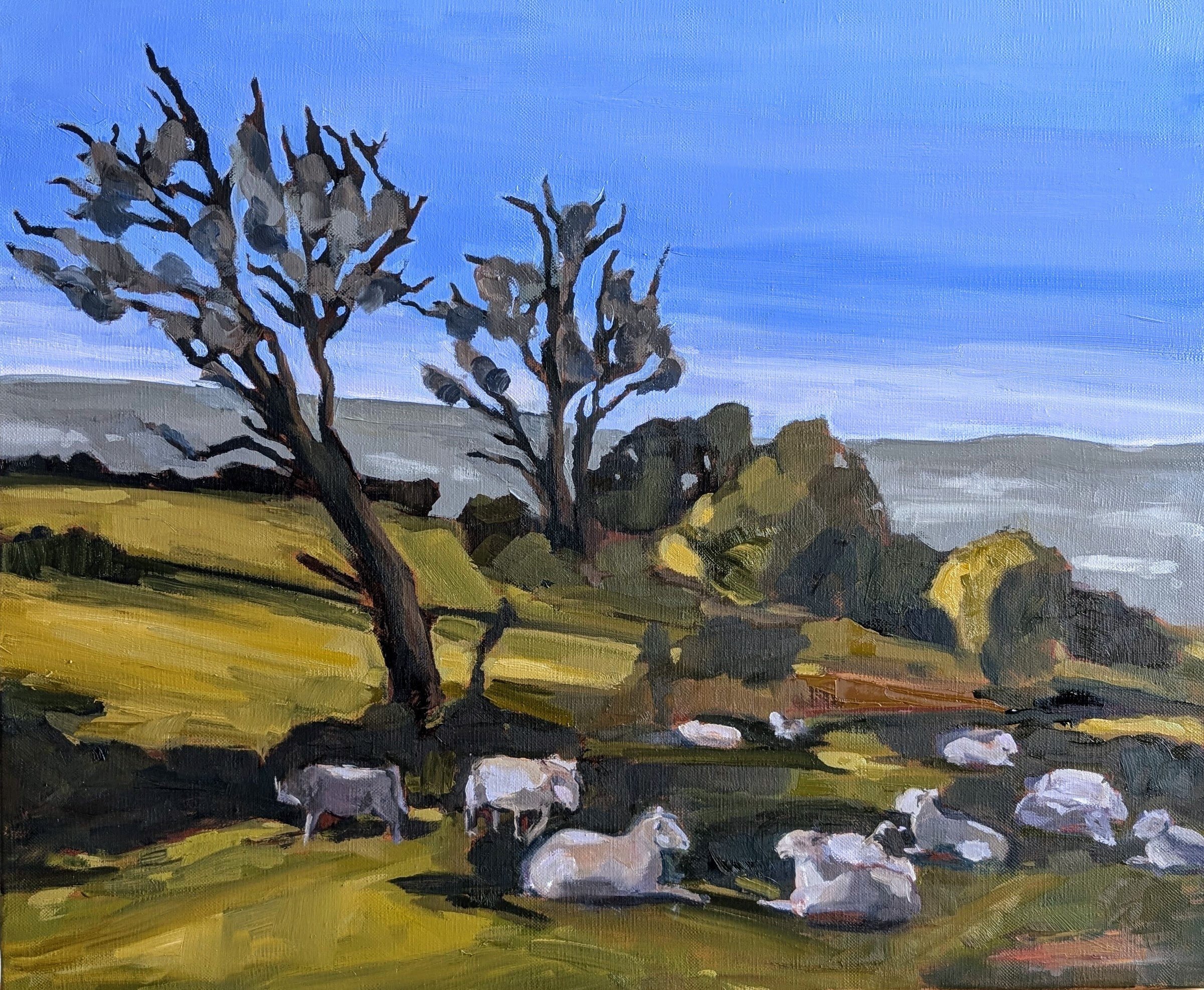 Les moutons d’Andrew